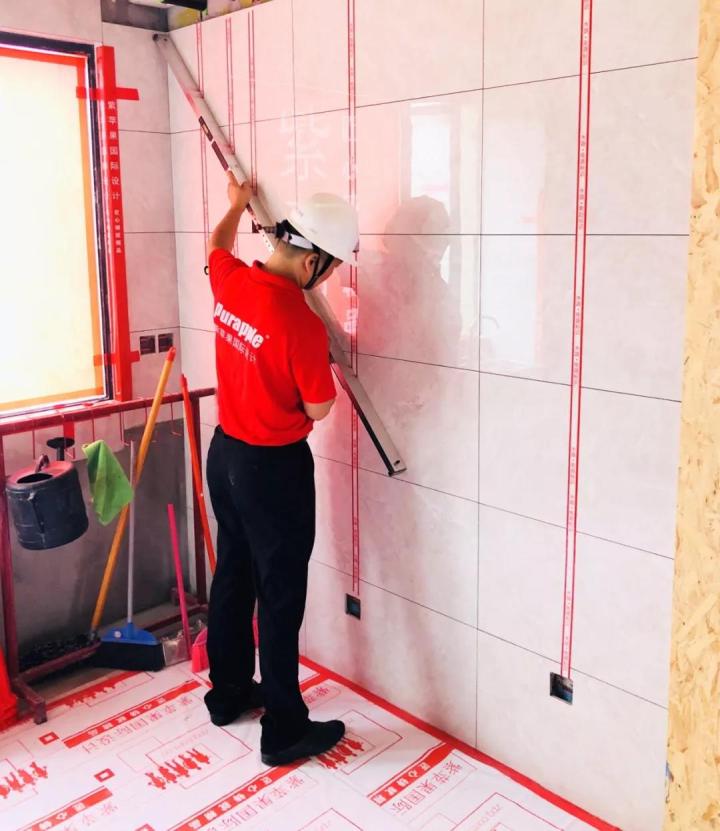 無錫紫蘋果裝飾