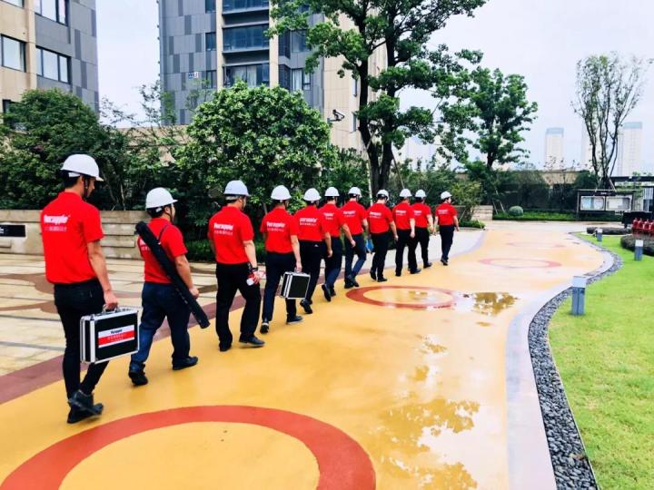 無錫紫蘋果裝飾