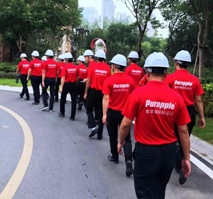 無錫紫蘋果裝飾