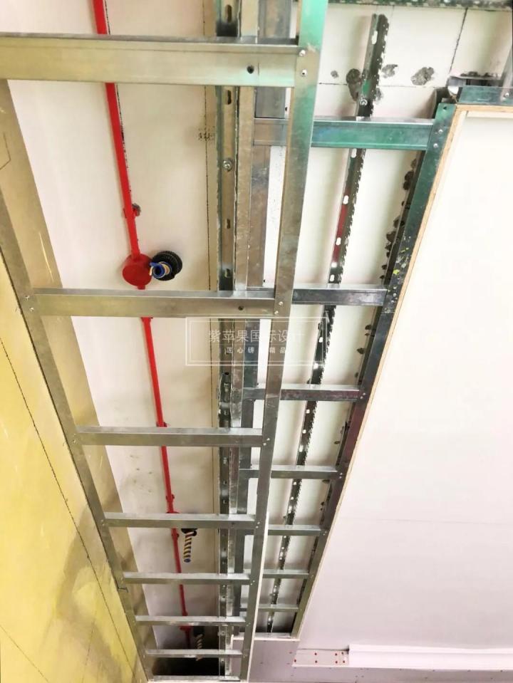 無錫紫蘋果裝飾